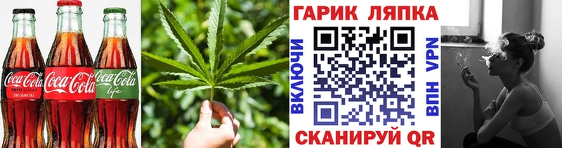 купить наркотик  Новошахтинск  Еда ТГК марихуана 