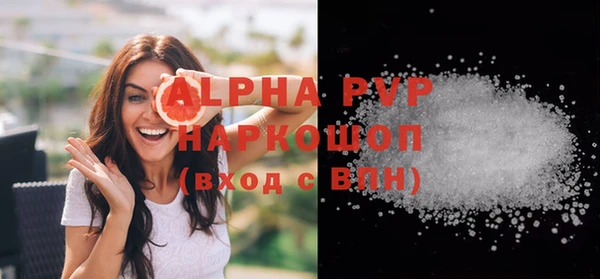гашик Каменногорск