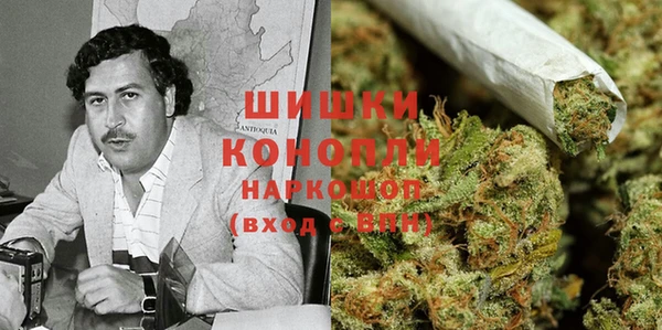 гашик Каменногорск