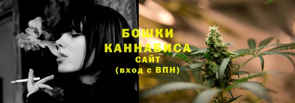 гашик Каменногорск