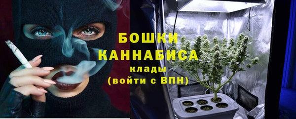 гашик Каменногорск